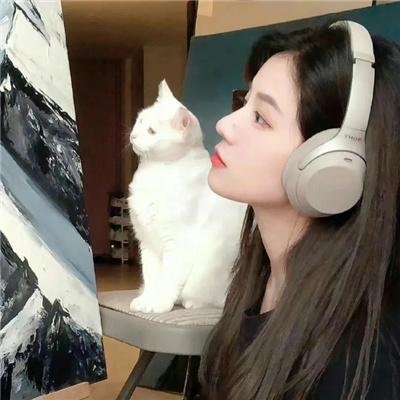 摩登情圣海报